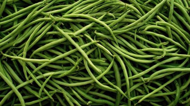 Haricots verts